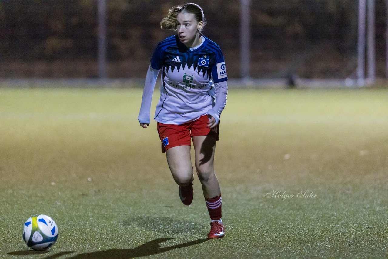 Bild 319 - F SC Alstertal-Langenhorn - Hamburger SV 3 : Ergebnis: 2:2
